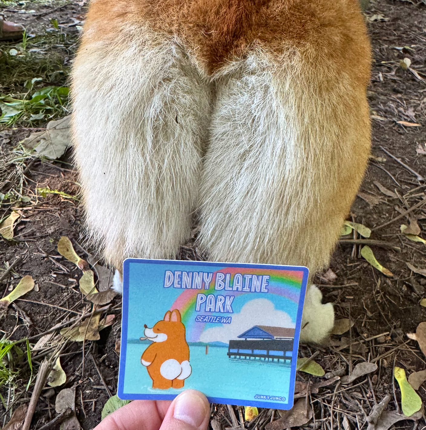 Denny Blaine Park Sticker