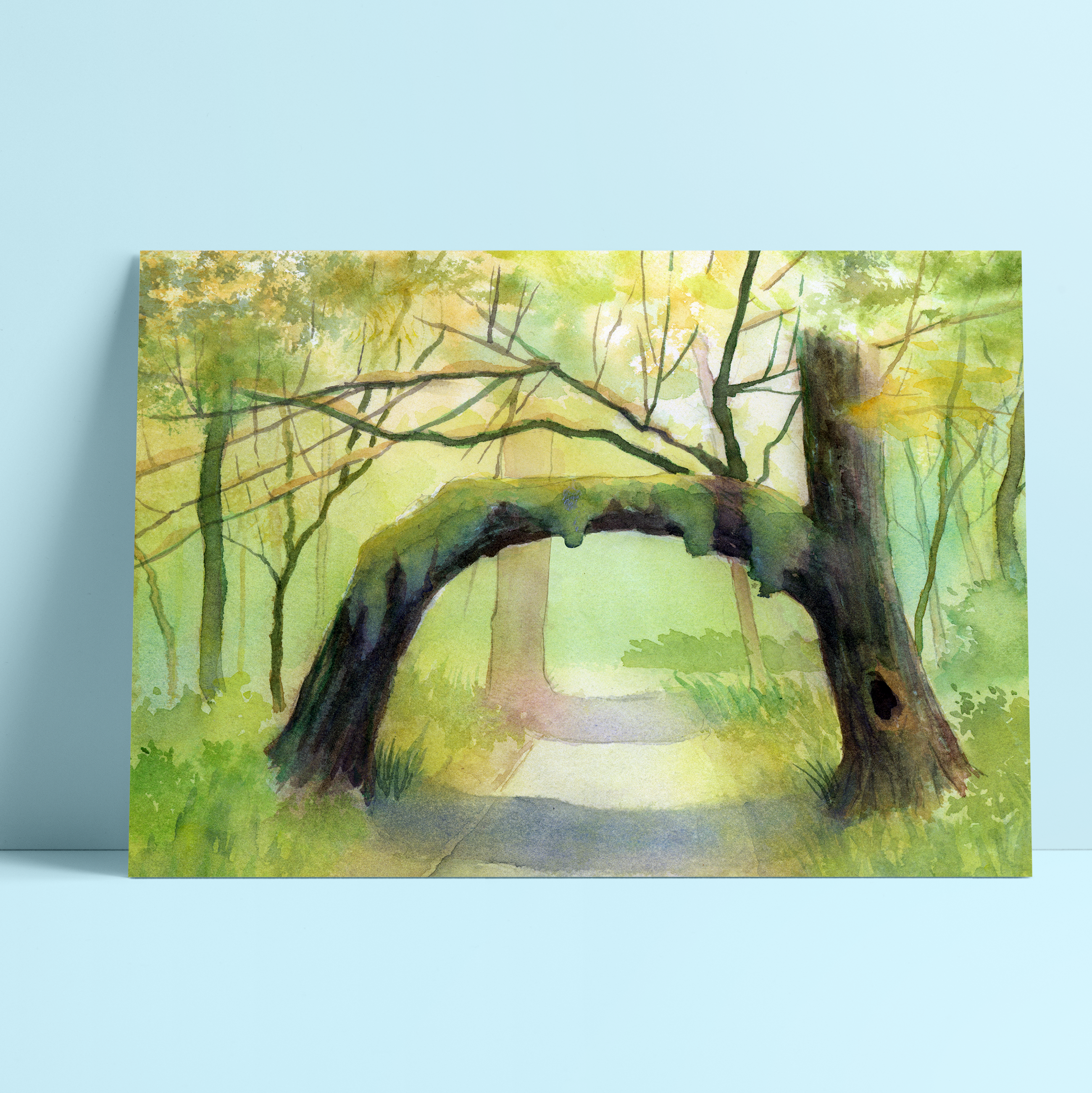 Hoh Rainforest (Seattle) Art Print