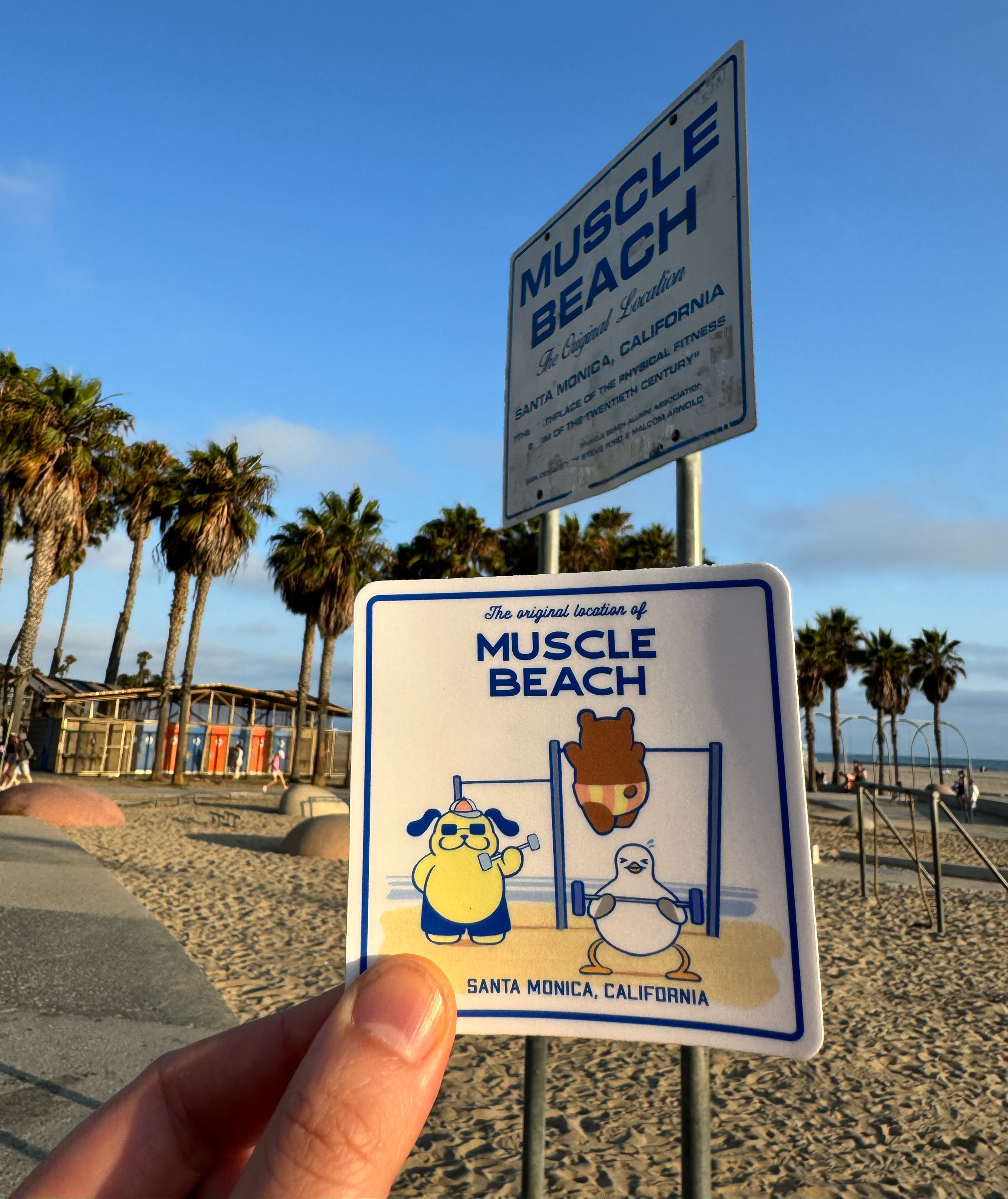Muscle Beach Sticker