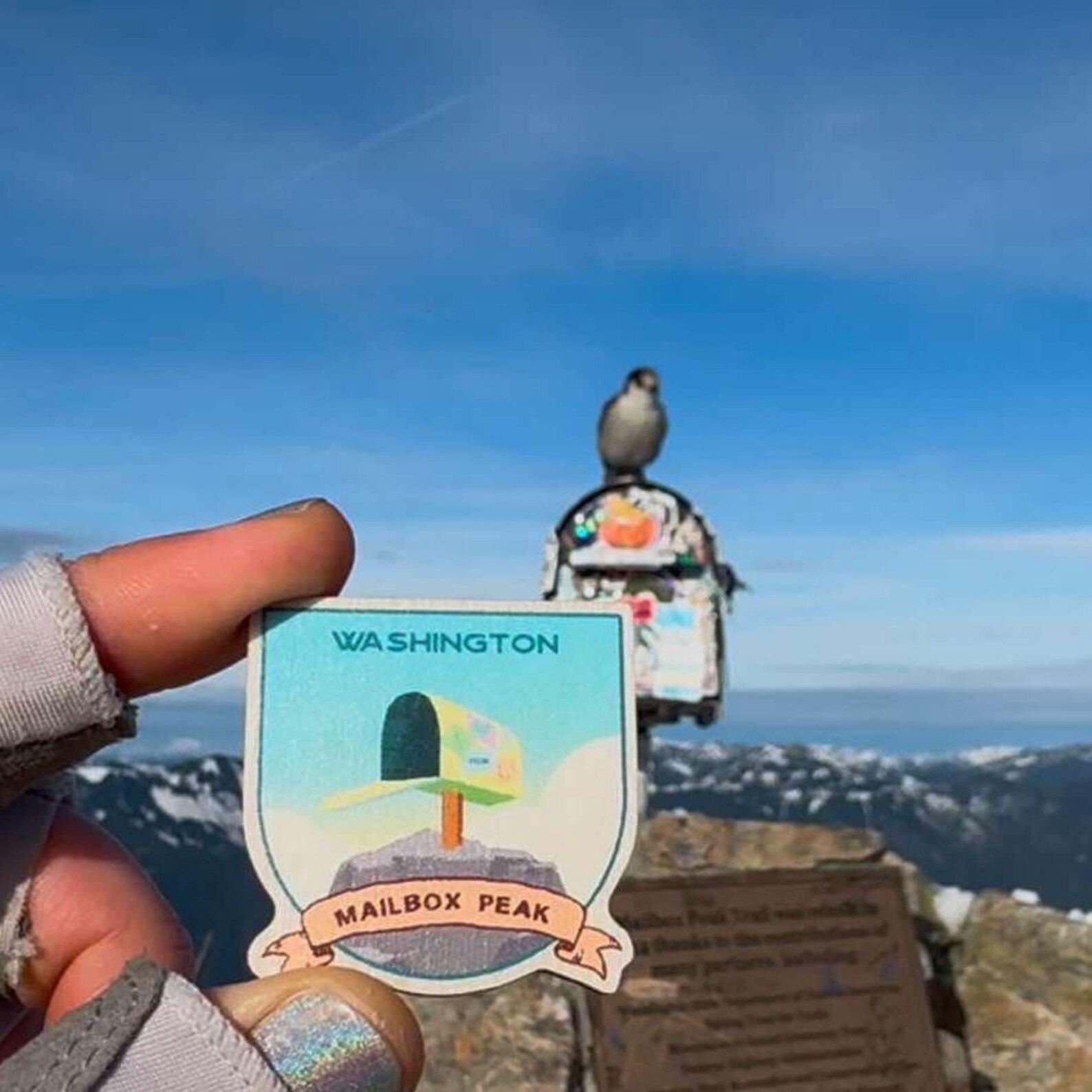 Mailbox Peak Trail Trophy